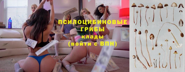 mix Богданович