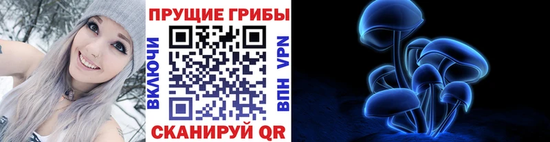 Галлюциногенные грибы Psilocybe  Острогожск 