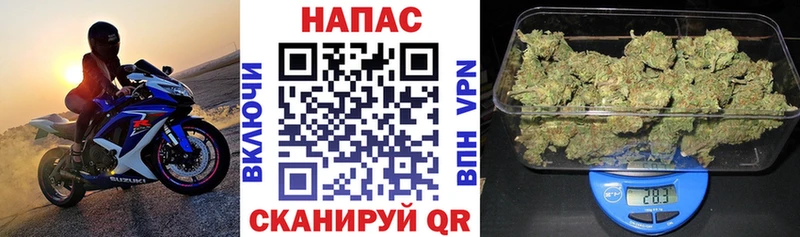 Бошки марихуана планчик Острогожск
